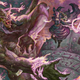 Image for article titled D&D's Epic New 'Monsters of the Multiverse' Makes Creating Characters and Creatures Easier Than Ever